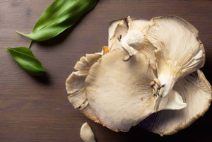 Mushroom Noodle Soup recipe